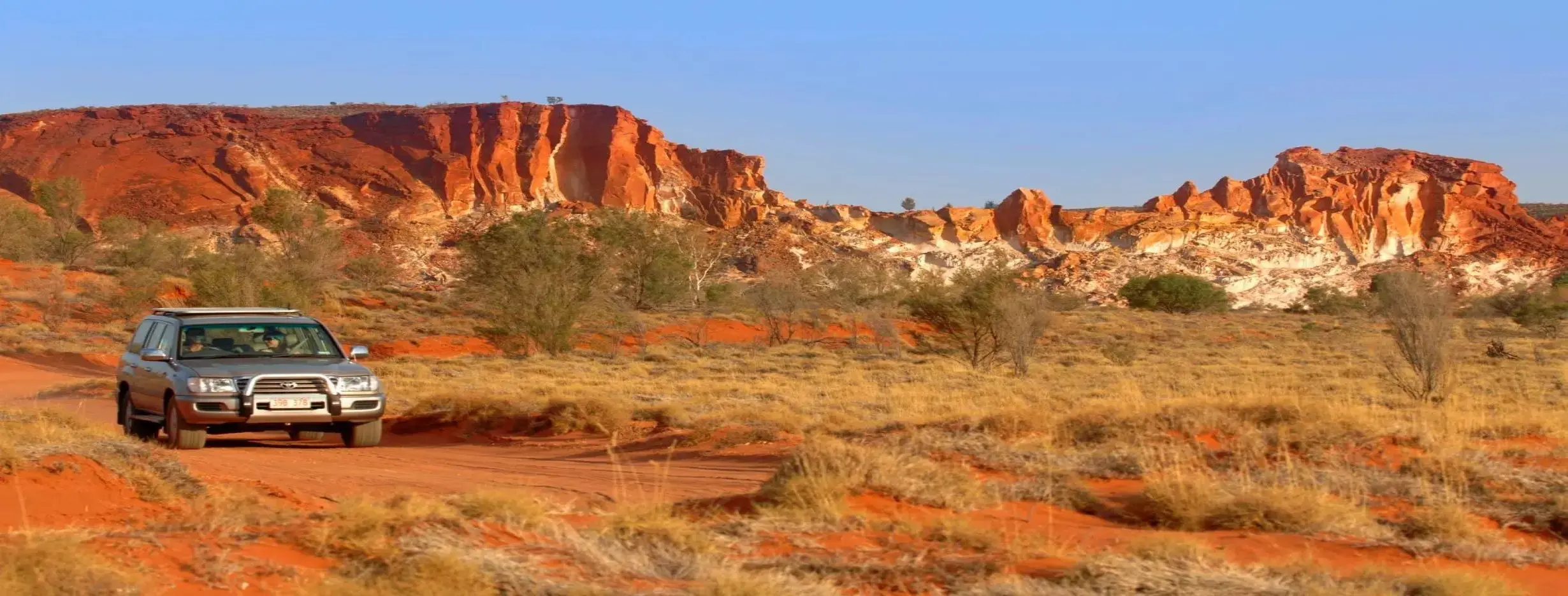 Image for Outback Safari